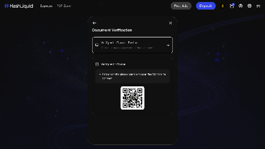 Choose verification device